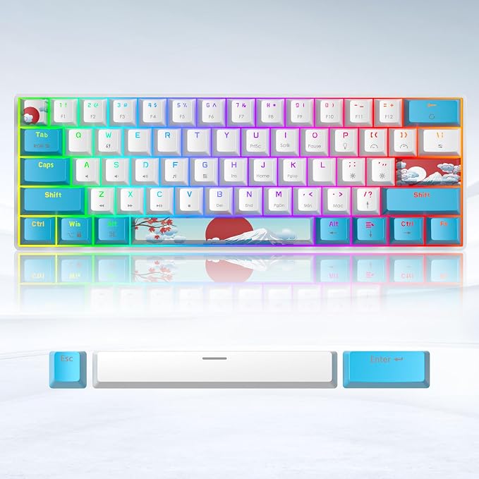 61 Sea/Red Switch