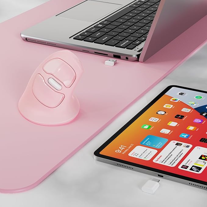 Pink & Type-C Receiver