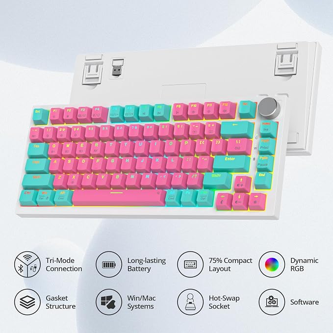 Miami/GrayCreamSwitch