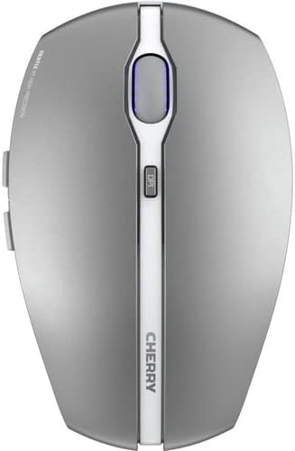 Frosted Silver
