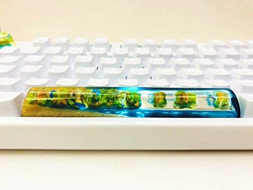 6.25u Spacebar(1 pcs)