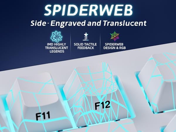 White Spider Web
