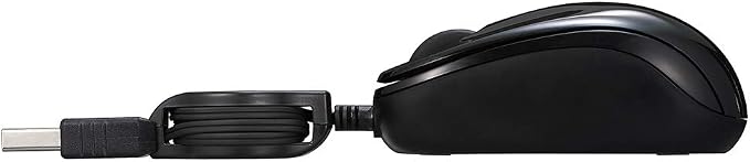 black (black 19-3911tcx)