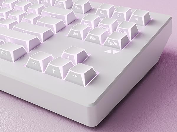 Prism
