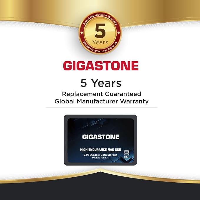 512GB HIGH ENDURANCE NAS SSD 1-Pack