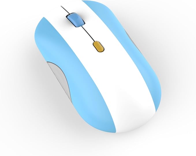 Argentina Flag
