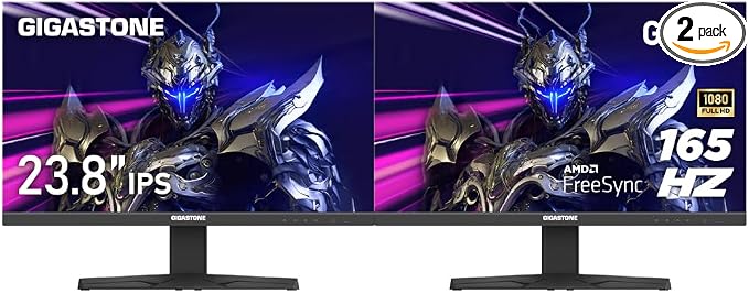 24 inch 165Hz IPS Monitor 2-Pack