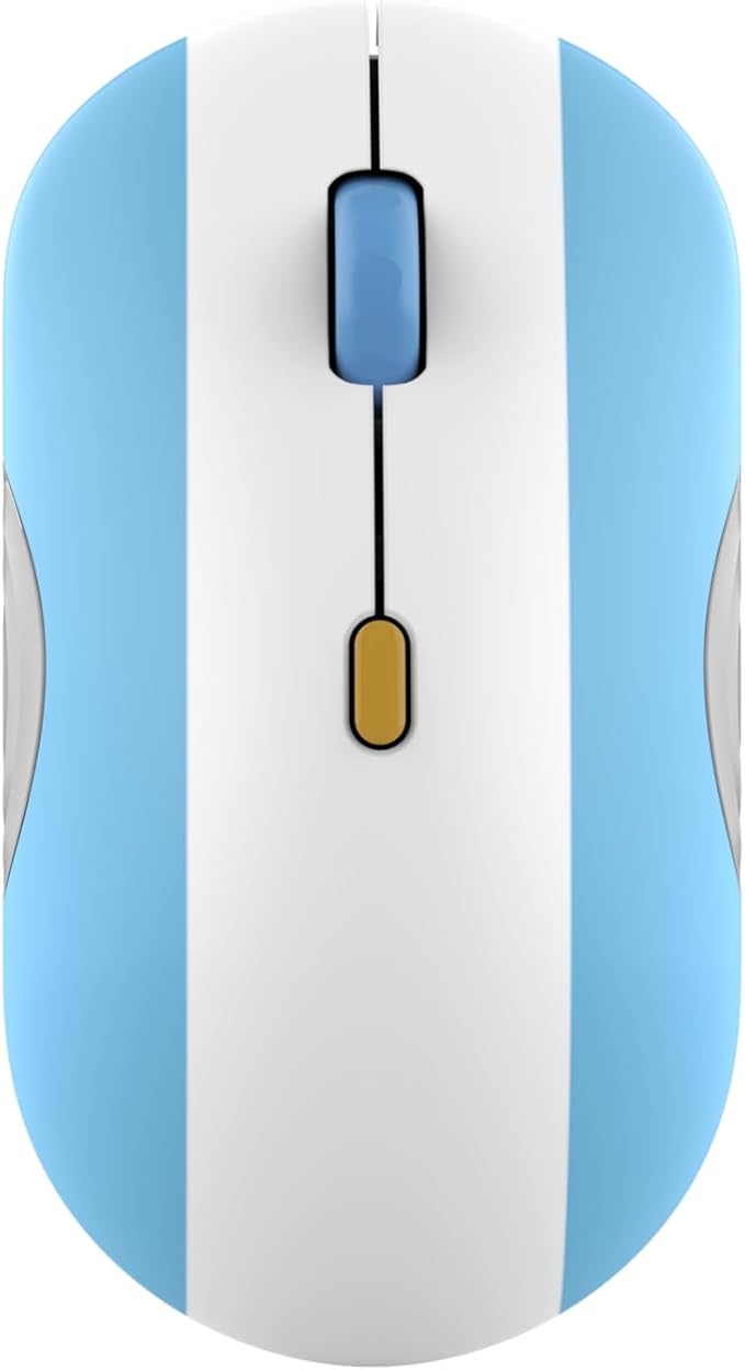 Argentina Flag