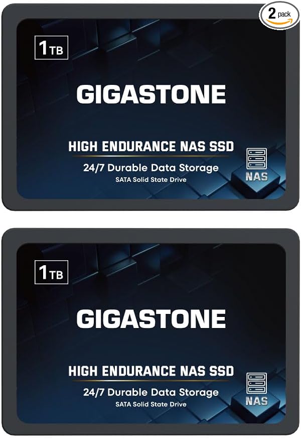 1TB HIGH ENDURANCE NAS SSD 2-Pack