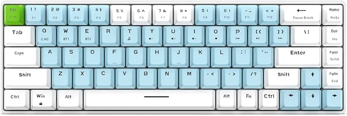Blue Switch Blue & White Combo Color
