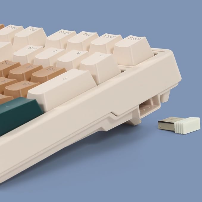 Brown combo blue switch