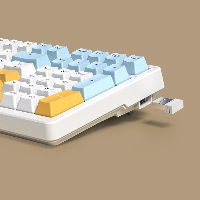 brown switch ice blue backlight