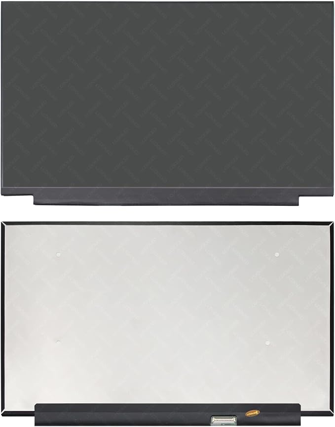 300Hz Refresh Rate