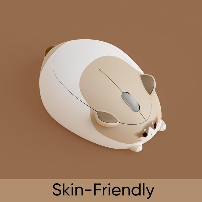 Ragdoll Cat