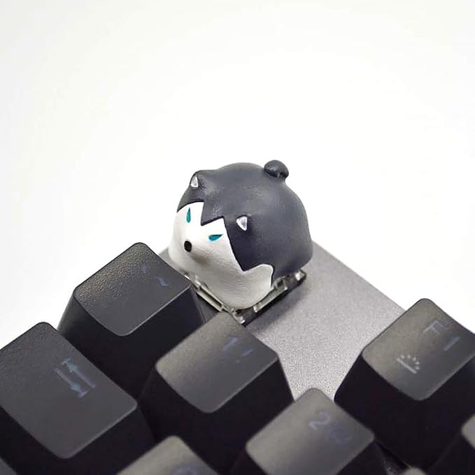 Keycaps5