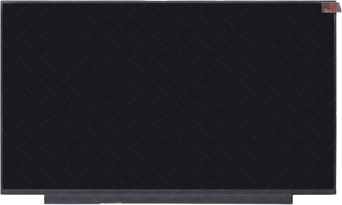 300Hz Refresh Rate