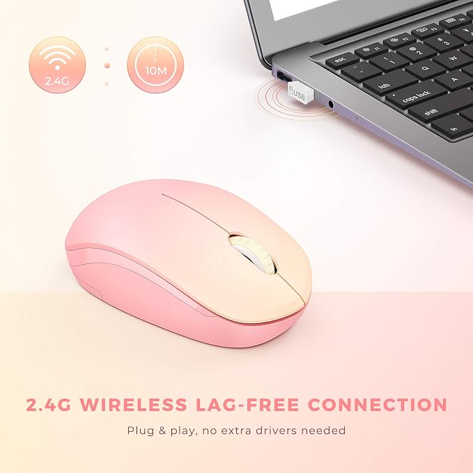 Gradient Pink
