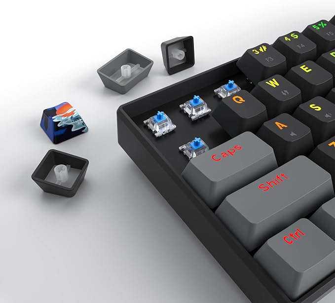 Dark/ Blue Switch