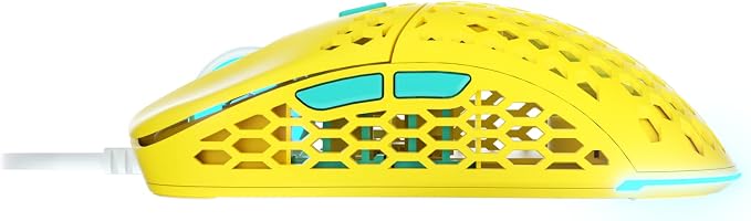 Yellow/ Teal