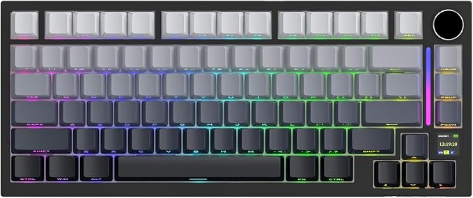Moonlitlight (Shark Switch)