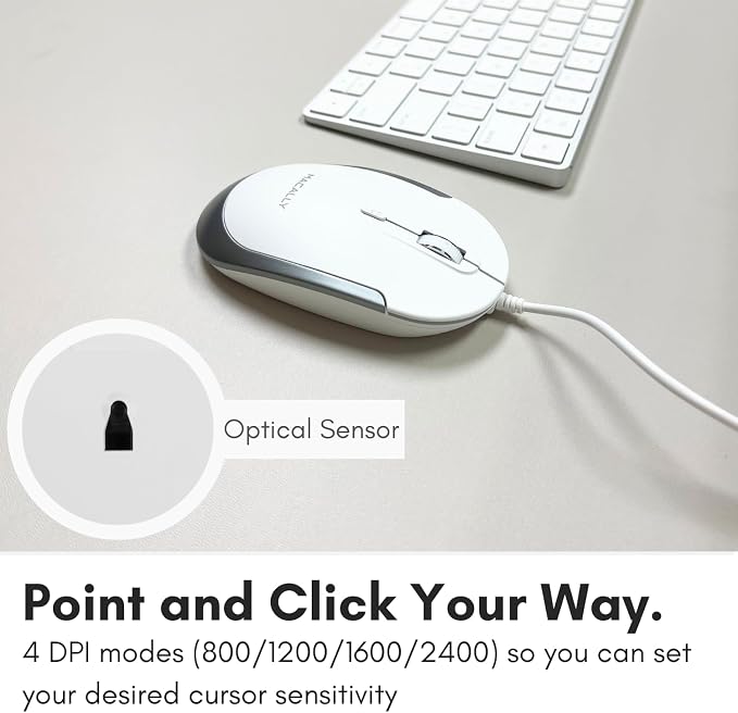White with Silver Trim