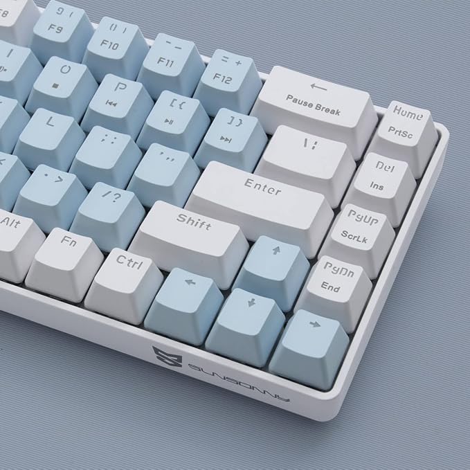 Blue Switch Blue & White Combo Color