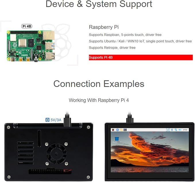 4.3 inch DSI LCD (with case)