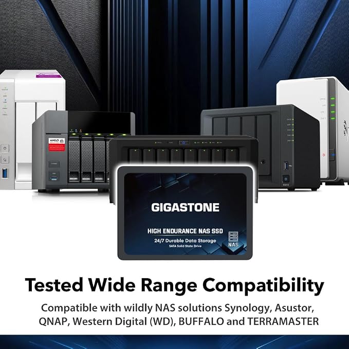1TB HIGH ENDURANCE NAS SSD 2-Pack