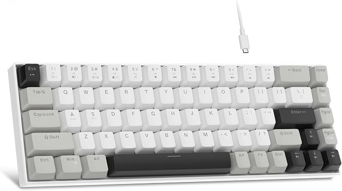 White Grey/Red Switch