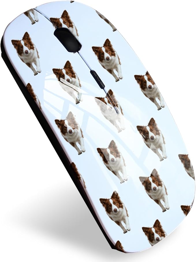 Border Collie MD9744