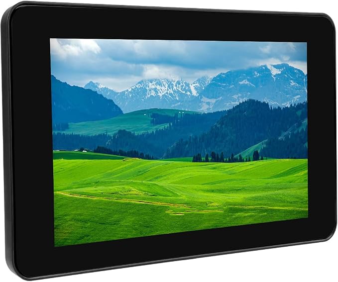 7 inch DSI LCD (with case)