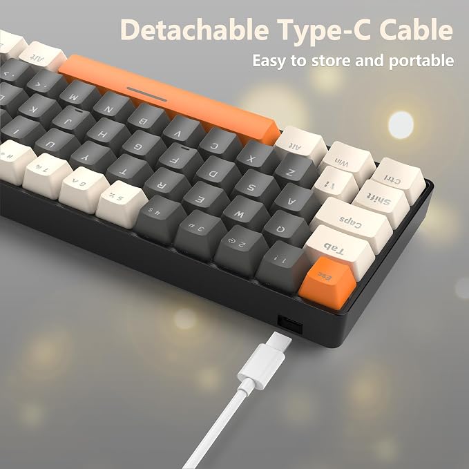 Dark Gray/Blue Switch