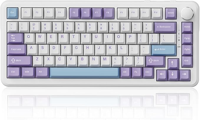 Magnetic Switch Purple-White