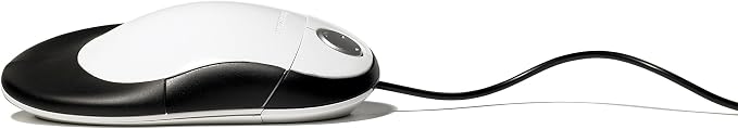 White W/Black Trim