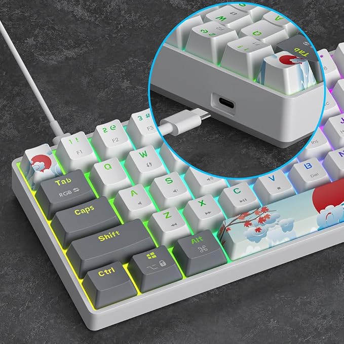 61 White/Red Switch