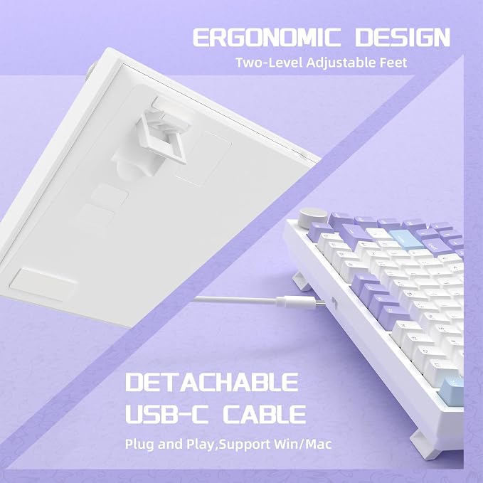 blue white purple/sea salt switches