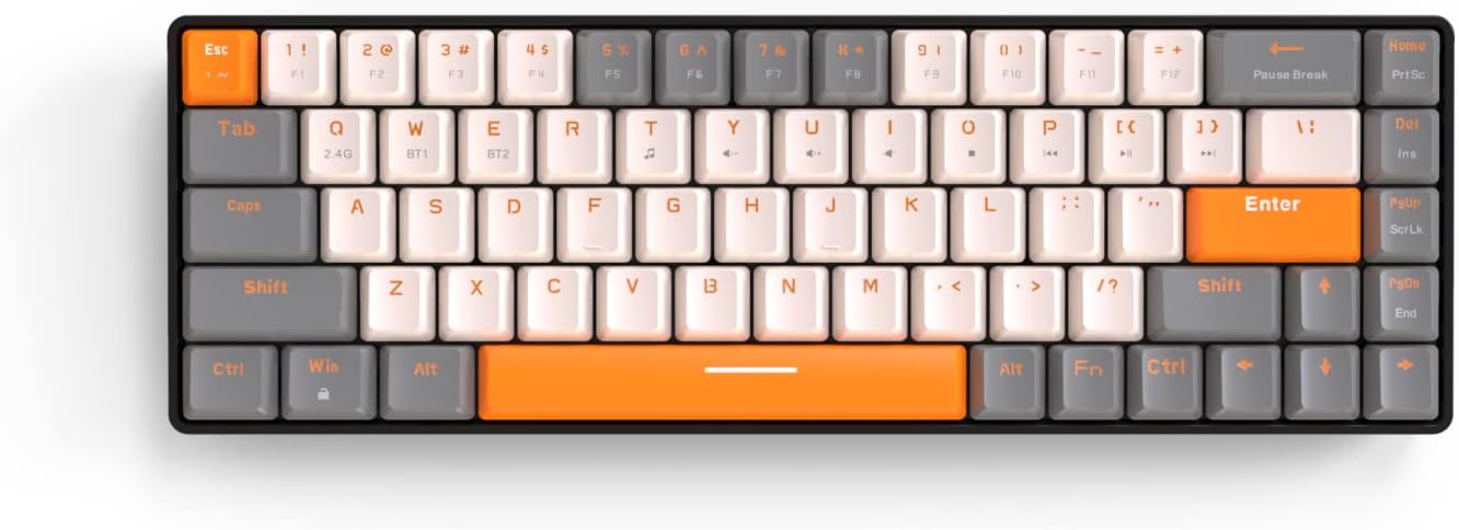 Off-white & Orange/Red Switch