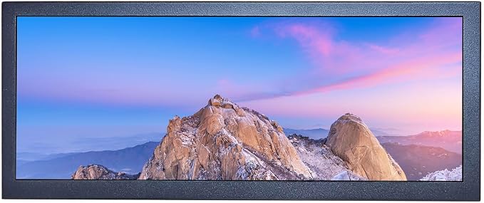 12.3'' Android Monitor