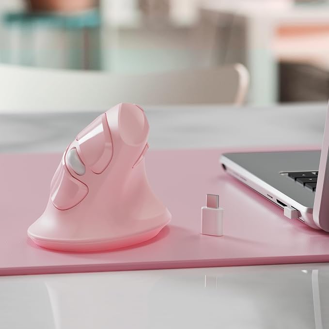 Pink & Type-C Receiver