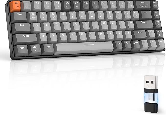 Light gray/Red Switch