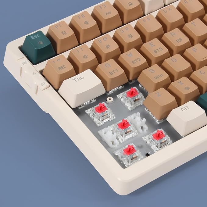 Brown Combo Red Switch