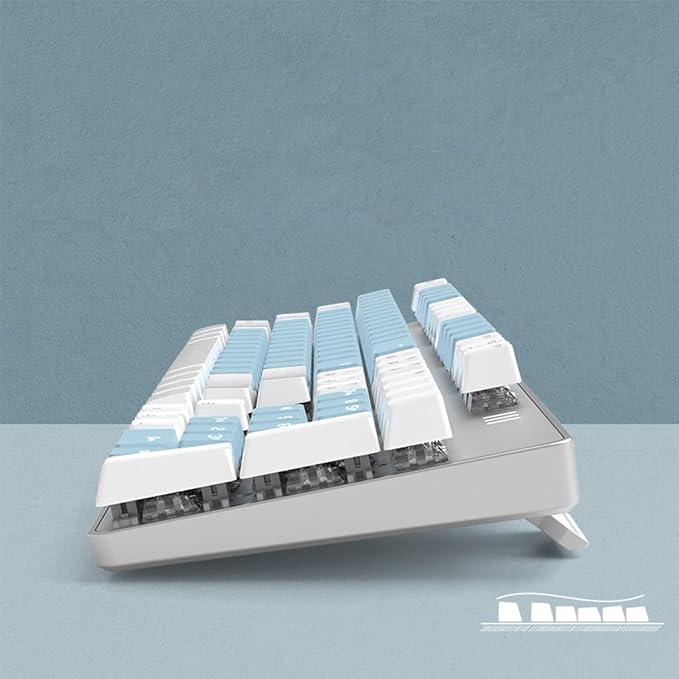 Blue Switch Blue & White