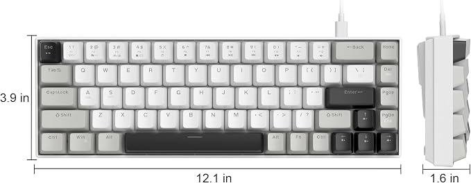 White Grey/Red Switch