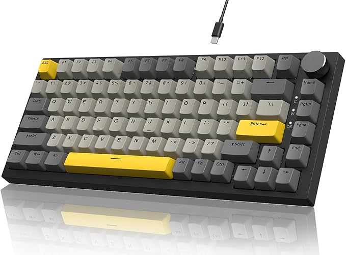 grey white yellow/moon switches