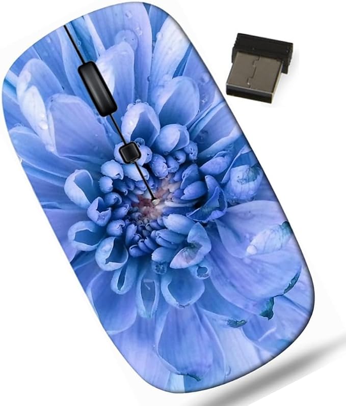 BYADAUaTOA_CHRYSANTHEMUM FLOWER_833