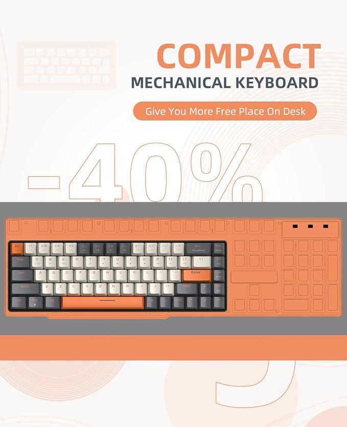 white & Orange/Red Switch