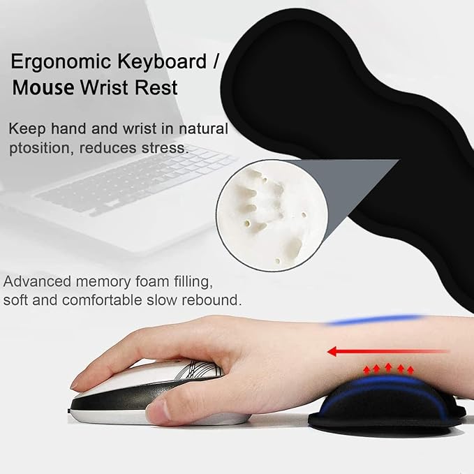 Sunflower and Sloth