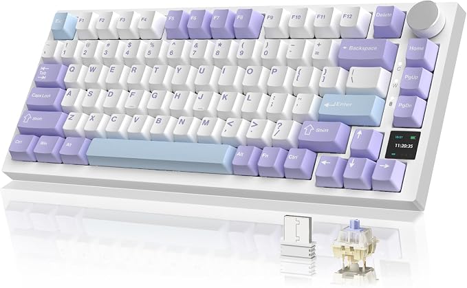 purple white blue/gift switches