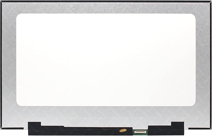 300Hz Refresh Rate