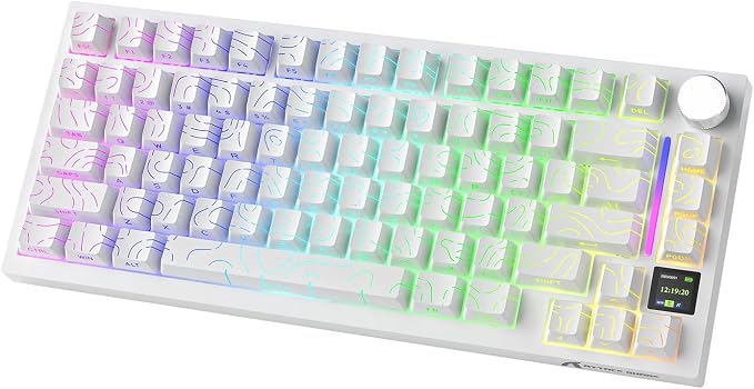 White Contour (Gift Edition Switch)